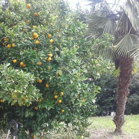 Le Palme Panzió Chieti Kültér fotó
